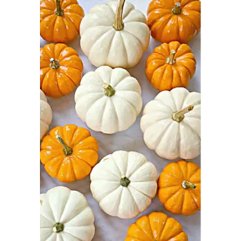 Fresh pumkin (1)-9243835-62079.webp